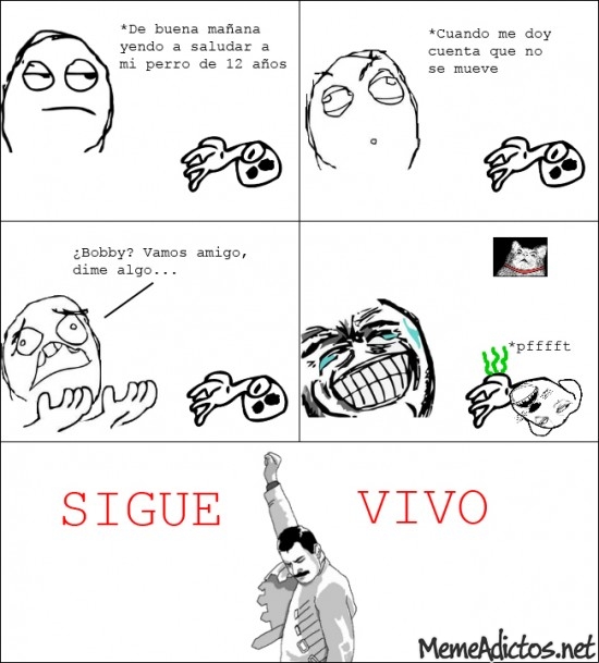 Sigue Vivo Meme Subido Por Seba Kk Memedroid