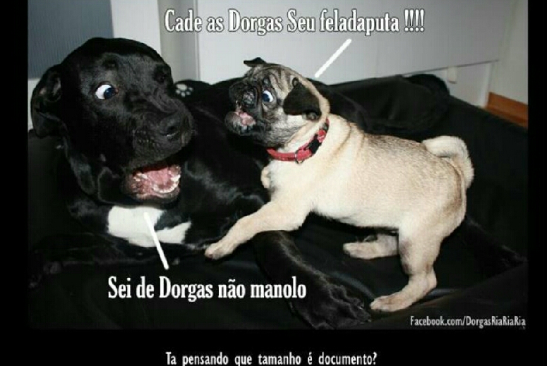 Cachorro Meme Subido Por Leonardorossol123 Memedroid