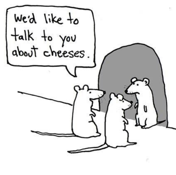 cheeses!!!!! - Meme by 3mmely :) Memedroid