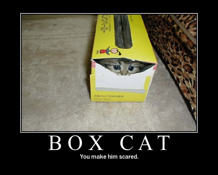 You make Kitty scared Мем. You make Kitty Ckared.