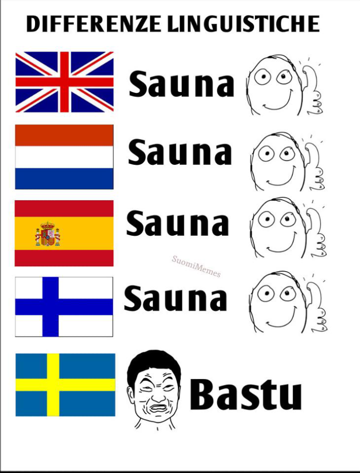 Finally not finnish or german - meme