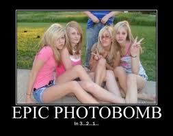 possibly best photobomb ever - meme