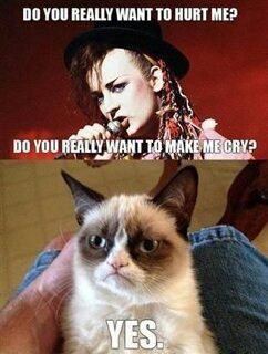 grumpy cat lives on! - meme