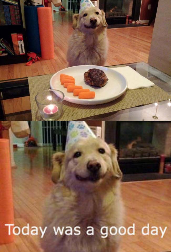 Birthday Dinner...he is so fucking happy and satisfied with life - meme