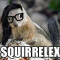 squirrelex