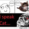 i speak cat