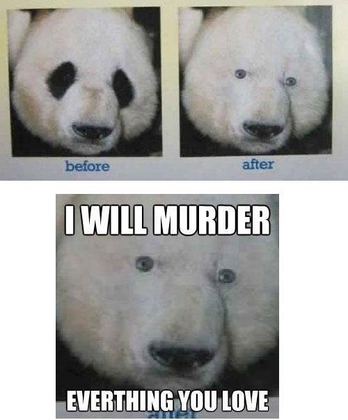 Never say no to panda - meme