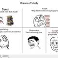 The studying phases