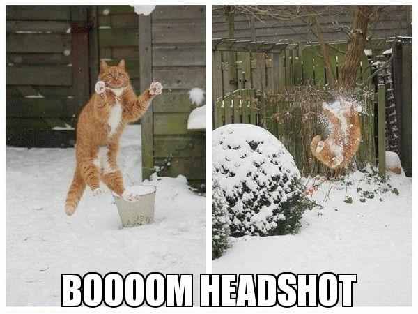 Headshot! - meme