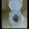 Dirty toilets...