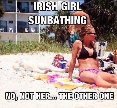 Not sure if irish, or chameleon mated with human... - meme
