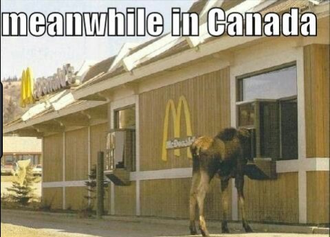Meanwhile in a Canadian McDonalds - meme