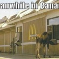 Meanwhile in a Canadian McDonalds