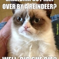 Grumpy cat hopes so