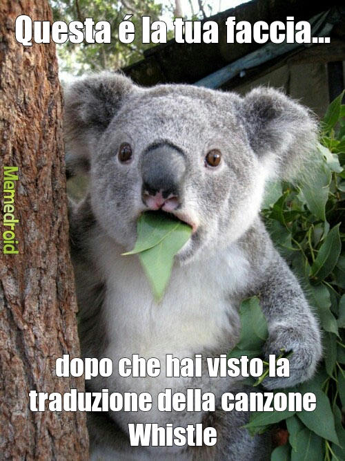 canzone...whistle - meme