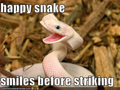 Happy Snake Is Happy - meme
