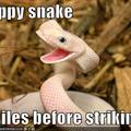 Happy Snake Is Happy