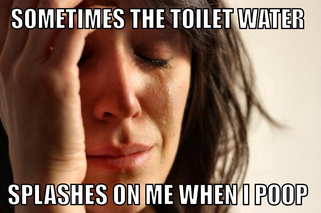 First world pooping - meme
