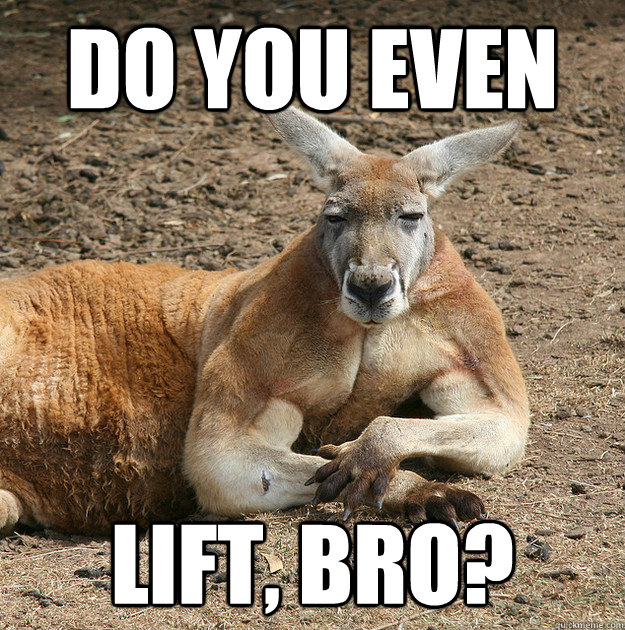 kangaroo with muscels - meme