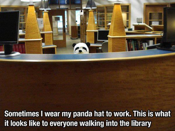 Creepy panda is creepy - meme