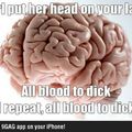 scumbag brain...