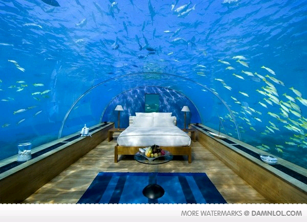 coolest bedroom ever - meme