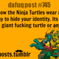 Cmon, its really hard to identify turtles