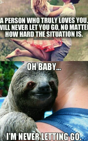 Sloth rapes 5th commenter. - meme