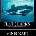 MINECRAFT!