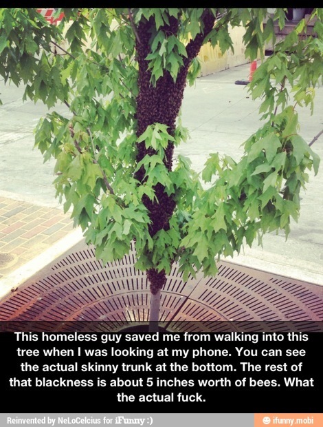 Found this but it's awesome  - meme