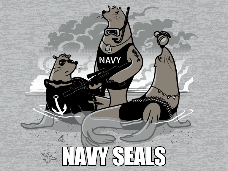 Navy seals - meme