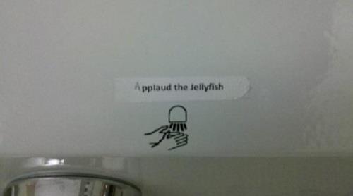 applaud the jellyfish. applaud. - meme