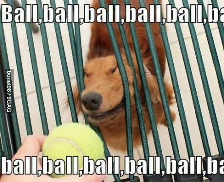 ball, ball, ball, - meme
