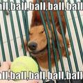 ball, ball, ball,