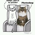 photochop