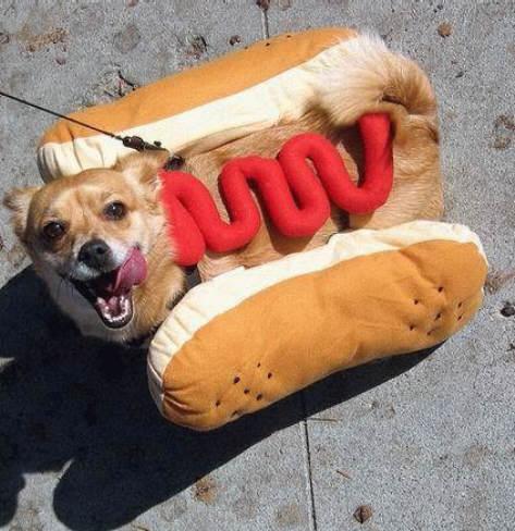 Hot Dog you're doing it wrong - meme