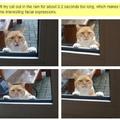 Sowwy kitty cat:(