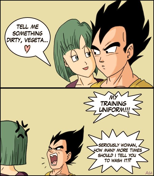 VEGETA AND BULMA!