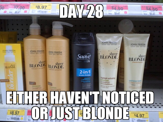stupid blonde - meme