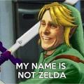 If you don't know that his name is Link, I feel sorry for you...