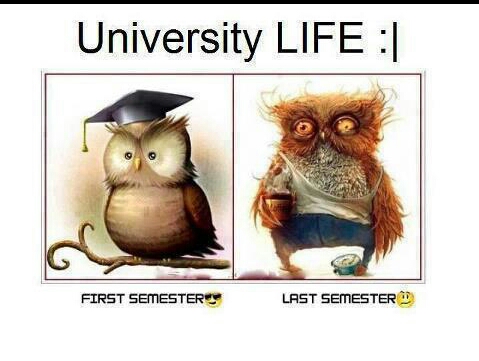 ugh ... university life - meme