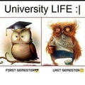 ugh ... university life