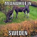 sweden.