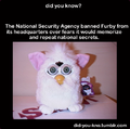 Furby what do the numbers mean!?!?!