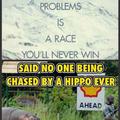 life is a race, a hippo race