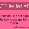oh Denmark....