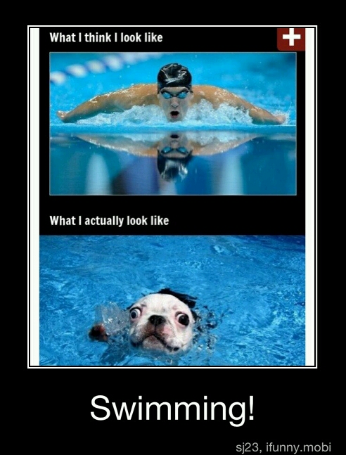 Swimming... - meme