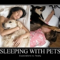 why i dont sleep with my dog