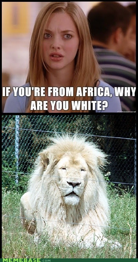 You Can't Just Ask Lions Why They're White! - meme