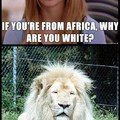 You Can't Just Ask Lions Why They're White!